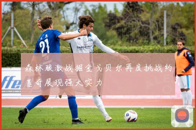 森林狼激战掘金戈贝尔再度挑战约基奇展现强大实力